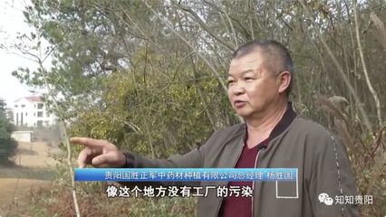 最美退役军人|杨胜国:不负军旅 坚守承诺 中药材种植技术服务
