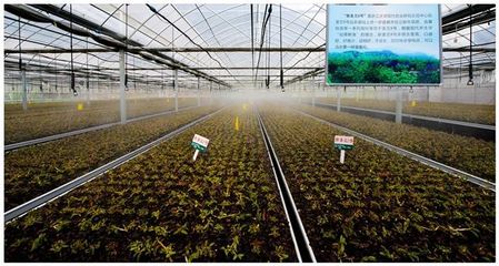 优秀！建德这些获了奖的特色商品，必须要存一份啦！——中药材种植技术服务