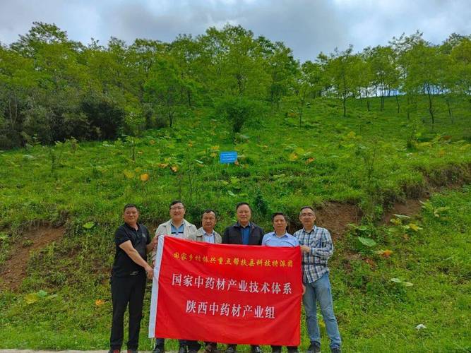 国家科技特派团为镇巴中药材产业发展